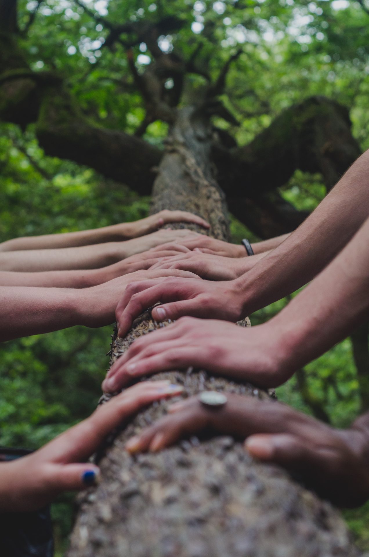 Hands of people with different skin colors stacked together