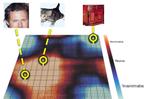 Qinghe Gao publishes paper on topographic variationally autoencoders at NIPS