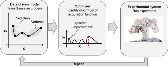 Self-optimization