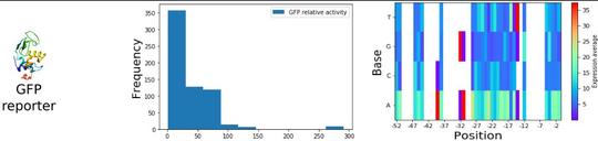 Insight to gene expression from promoter libraries with the machine learning workflow Exp2Ipynb